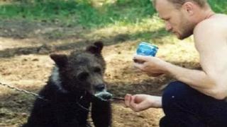 Encontró un oso, lo crió cuatro años, pero terminó devorado por el animal (FOTOS)