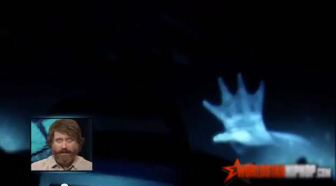 Científicos se asustan con supuesta 'sirena' en el mar de Groenlandia [VIDEO] 