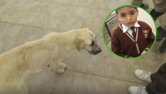 Niñito pide que adopten a su perrito porque su papá lo golpeaba (VIDEOS)