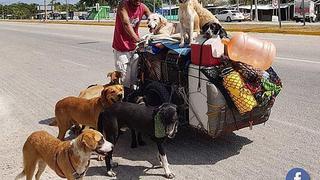 Con su triciclo recorre casi todo un país rescatando perros abandonados (VIDEO)