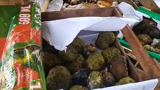 Frutas llegan en mal estado por bloqueos y comerciantes de Arequipa reclaman: “Nos sentimos muy tristes”