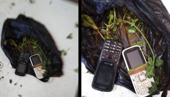 Tumbes: mujer intentó ingresar a penal con dos celulares camuflados en culantro