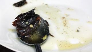Carne de delfín se vendía como plato exótico en restaurante del Callao 