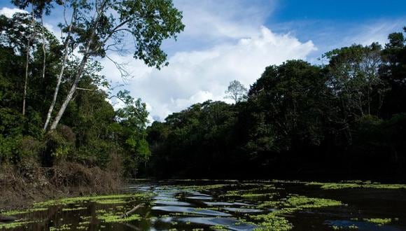 El 22 de abril pasado, la ministra de Comercio Exterior y Turismo, Claudia Cornejo, entregó el Sello internacional Safe Travels al destino turístico Iquitos-Río Amazonas-Reserva Nacional Pacaya Samiria. (El Comercio)