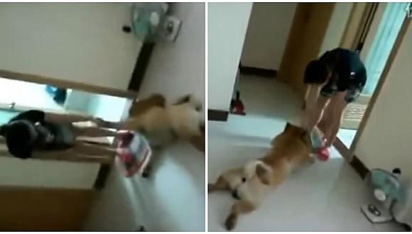 Mascotas: perrito se hace el muerto frente a su amo por esta increíble razón (VIDEO)