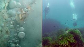 Encuentran amenaza para la humanidad en el fondo del mar 