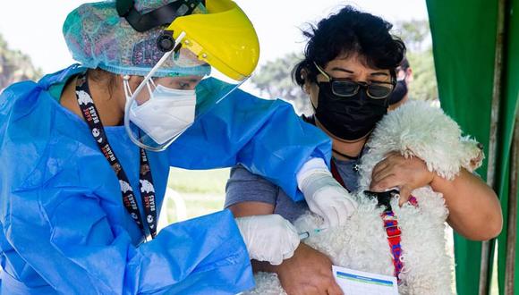 La vacunatón de mascotas se desarrollará en tres parques de Surco. La campaña está dirigida a vecinos y personas de otras jurisdicciones de Lima. (Foto: Municipalidad de Surco)