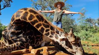 Mujer caza a una jirafa de 17 años y exhibe aterrador ataque mediante sus redes sociales 