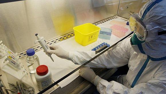 Detectan el virus de la gripe aviar en un cisne muerto en Japón 