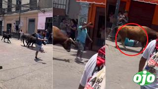 Rimac: Corrida de toros termina con un hombre herido