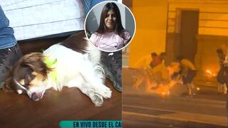 Perrito de Katherine Gómez, joven quemada por venezolano, luce afectado: “llora en su cama, sabe que no está”