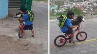 Niño conmueve al colocar mascarilla a su perro ‘para cuidarlo del Covid-19′ | VIDEO