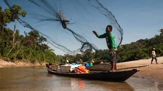 Ministerio del Ambiente: Hallan por primera vez microplásticos en peces de la Amazonía peruana