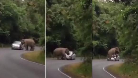 ​YouTube: Elefante enfadado ataca vehículo en plena carretera [VIDEO]
