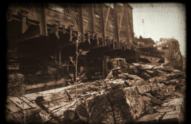 Encuentran tren cargado de oro nazi