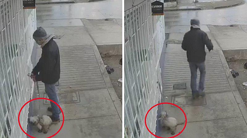 Hombre abandona a su perro en la puerta de una veterinaria | VIDEO