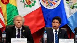 OEA aprueba pedido y activa Carta Democrática Interamericana para enviar comisión al Perú
