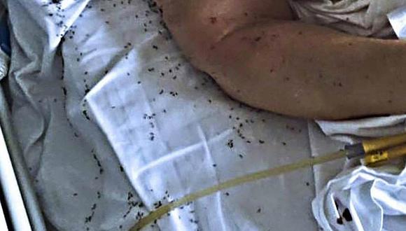 Italia: Indignación provoca paciente rodeada de hormigas en un hospital 