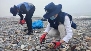 Callao: Recogen más de 100 toneladas de basura de la playa Márquez