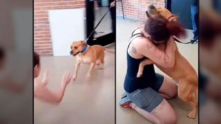 Mujer busca adoptar a nueva mascota y encuentra al perro que perdió hace dos años | FOTOS
