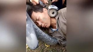 Borracho amanece con la cabeza atascada en una motocicleta y así fue su rescate (VIDEO)