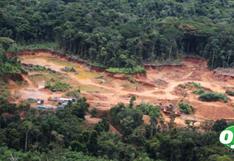 Perdida de bosques amazónicos peruanos equivale a 11 veces el distrito de San Juan del Lurigancho