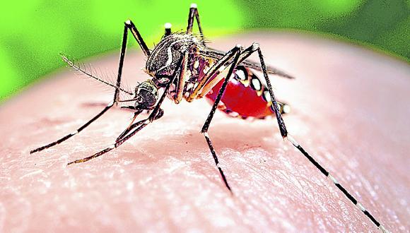 ¿Cómo prevenir el virus del Zika?