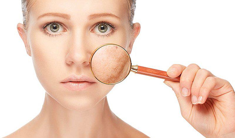  La Piel, el órgano más grande del cuerpo humano