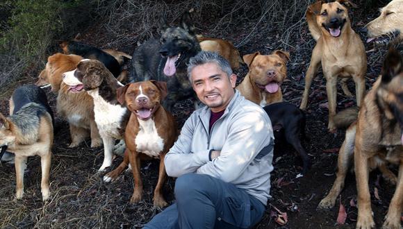 César Millán: El 'Encantador de Perros' es investigado por maltrato animal