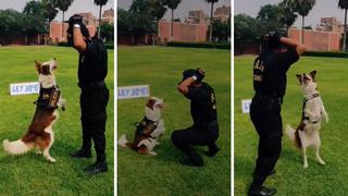 Perrito realiza baile junto a su compañero policía y enternece a usuarios | VIDEO