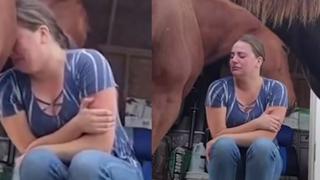 ¡Un lugar seguro para llorar! Caballo consuela a mujer que la pasa mal a causa de su divorcio