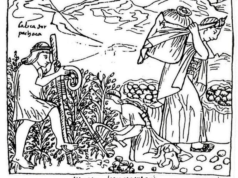 ¿Cómo era la vida familiar en el Perú prehispánico?