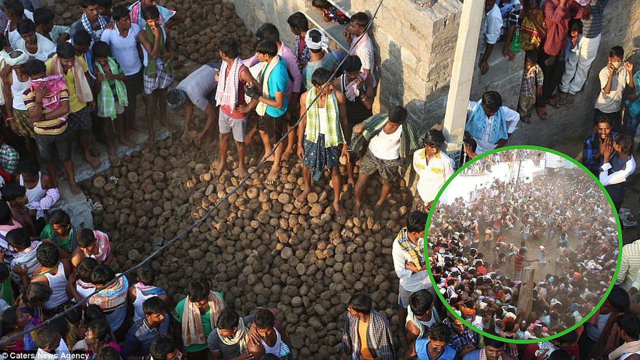 Pobladores realizan "guerra" de estiércol de vaca para la prosperidad (FOTOS)