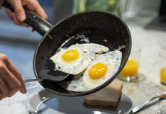 Crianza de la gallina influye en la calidad del huevo que se consume