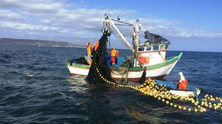 Ministerio de la Producción: capacitan y empoderan a mujeres que trabajan en la pesca artesanal 