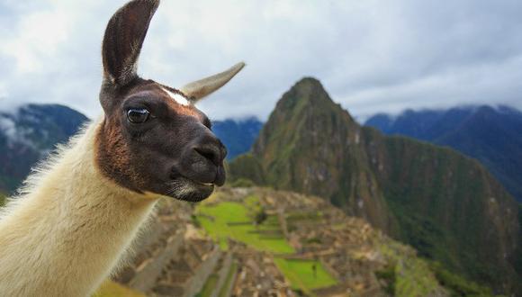 Mira estos videos con presencia de Machu Picchu