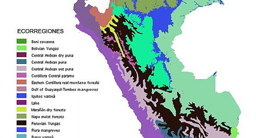 ¿cuáles Son Las 11 Ecorregiones De Perú Conoce Las Características De Las 11 Ecorregiones Delemk 0136