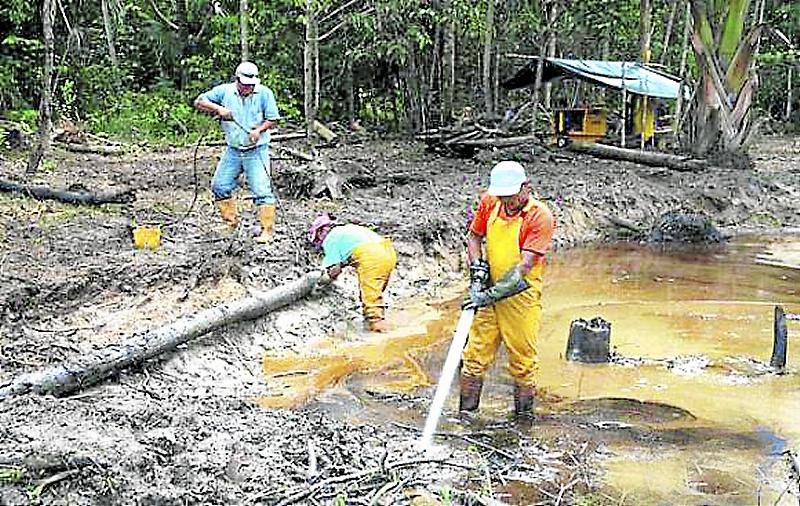 El Amazonas en peligro
