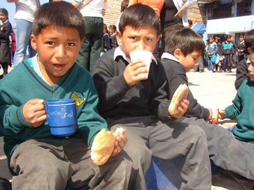 PASCO: Pronaa sanciona a dos empresas por no cumplir standares de calidad