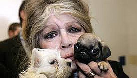 ​Brigitte Bardot se presentará a elecciones con el Partido Animalista