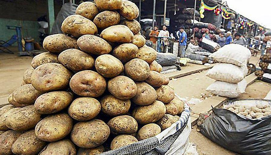 Arequipa: Kilo papa es vendido a 0.50 céntimos por estado de emergencia
