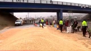 Panamericana Sur: reportan congestión vehicular por volcadura de camión cargado de maíz en el Km 56.5 | VIDEO 