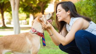 ¿Hablas con tu mascota como si fuera un bebé?, estudios te dan la razón 