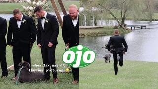 Perro invitado a boda no quiso participar en sesión de fotos y prefirió irse a nadar a un lago