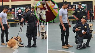 La reacción de perritos policías cuando encuentran pirotécnicos ilegales (VIDEO Y FOTOS)