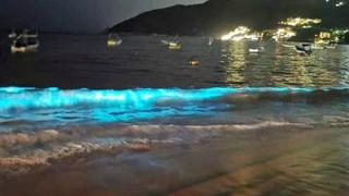 Playa de México se iluminó de forma natural por la ausencia de turistas