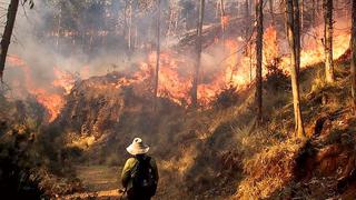 Cusco: Incendio forestal deja al menos tres fallecidos y 30 heridos en Quispicanchi | VIDEO