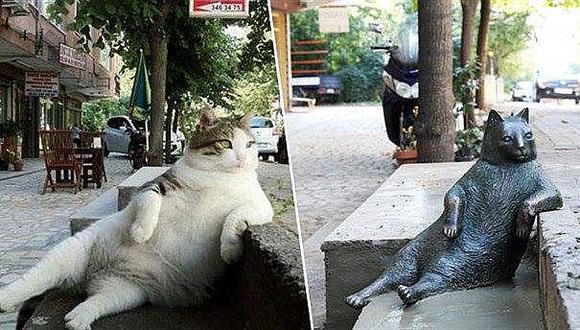 Turcos lloran por el robo de la escultura de un famoso gato callejero 
