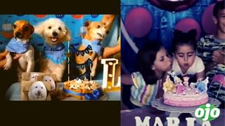 Perro arruina el cumpleaños de otro y usuarios lo comparan con video viral de las niñas en fiesta 