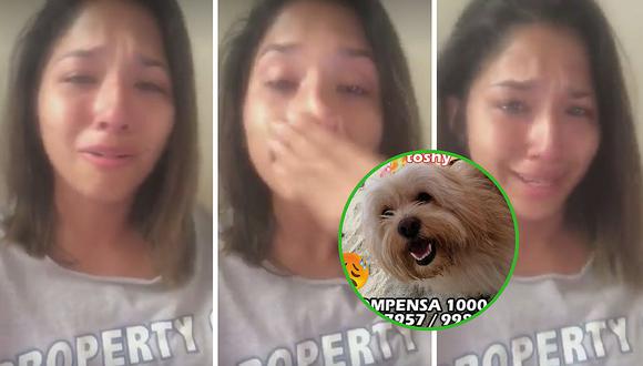 Jovencita graba conmovedor vídeo donde llora por su perrito perdido 